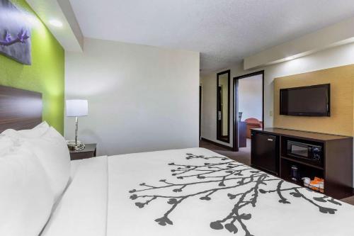 Hotel Sleep Inn Near Busch Gdns/usf