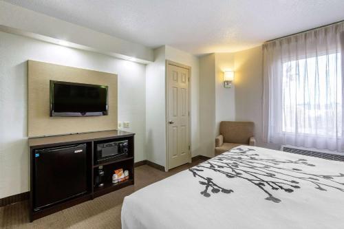 Hotel Sleep Inn Near Busch Gdns/usf