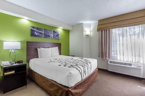 Hotel Sleep Inn Near Busch Gdns/usf