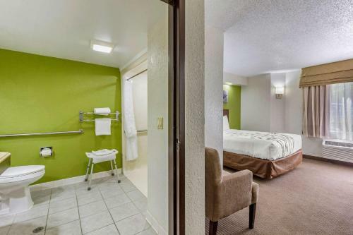 Hotel Sleep Inn Near Busch Gdns/usf