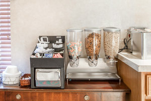 Hotel Econo Lodge Inn  And  Suites East