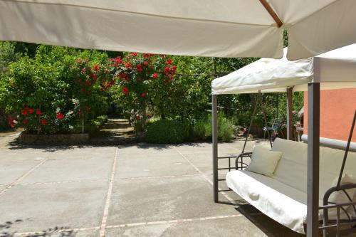 Antonio's House