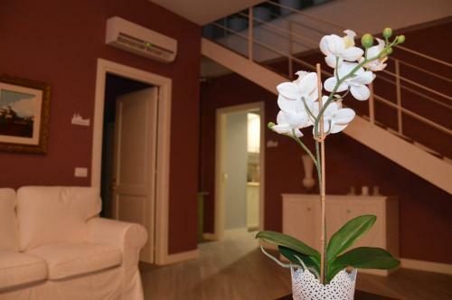 Hostal Residenza Cavour