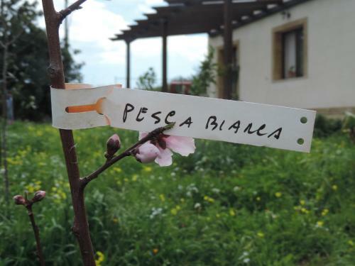 Villa Agape