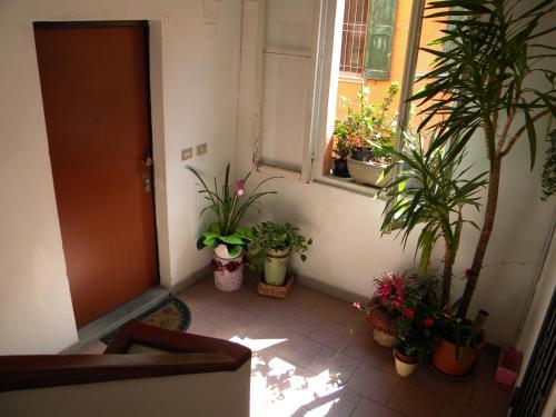 Apartamento Ampio Open Space In Centro Storico