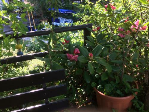 Apartamento Villa Fedora