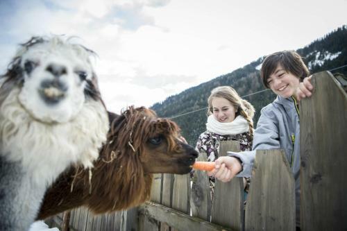 Alphotel Tyrol