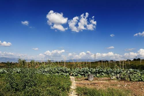 Agroturismo Merumalia Wine Resort