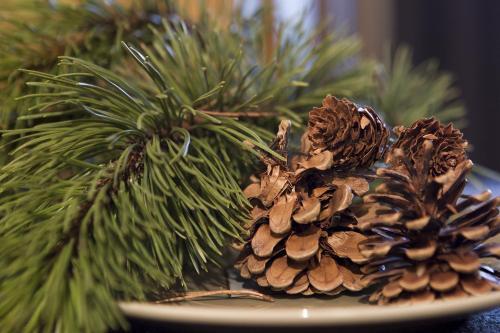 Hostal Garni Bed And Breakfast Broi
