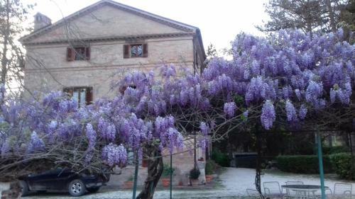 Agroturismo Casale La Fornace