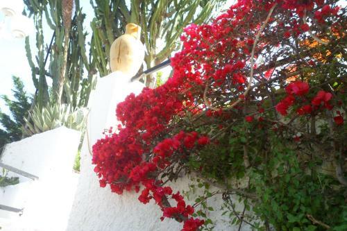 Hotel Park Calitto