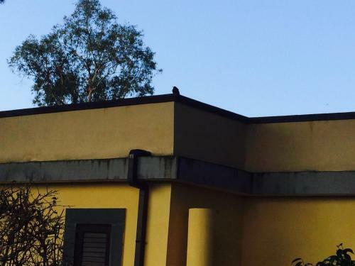 Hotel Al Togo