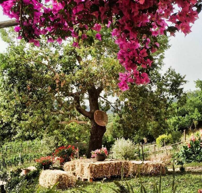 Agroturismo Agriturismo I Moresani