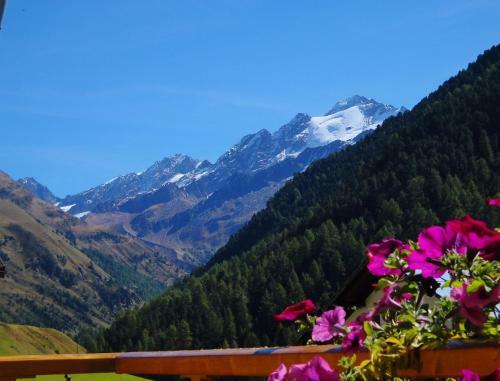 Apartamento Residence Alpin