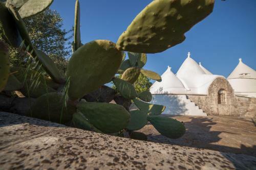 Trullo Degli Ulivi