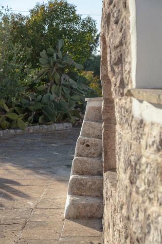 Trullo Degli Ulivi