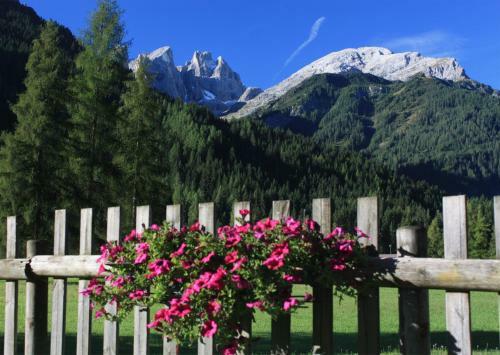 Hotel Stella Alpina