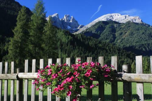 Hotel Stella Alpina
