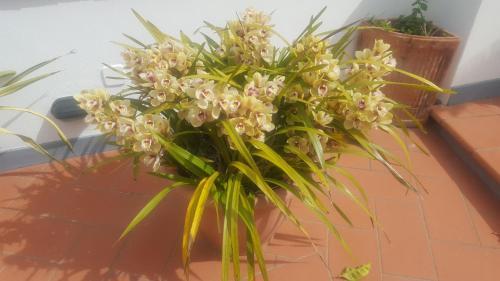 Bed & Breakfast Acquaviva 31