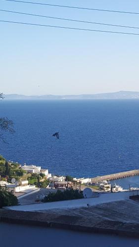 Bed & Breakfast Acquaviva 31