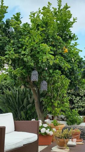 Bed & Breakfast Acquaviva 31