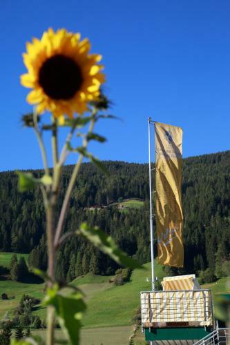 Hotel Cavallino Bianco - Weisses Roessl