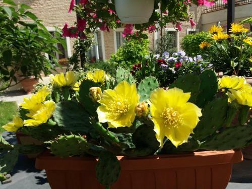 Hotel Relais Villa Roncuzzi