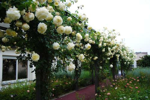 Hotel Relais Villa Roncuzzi
