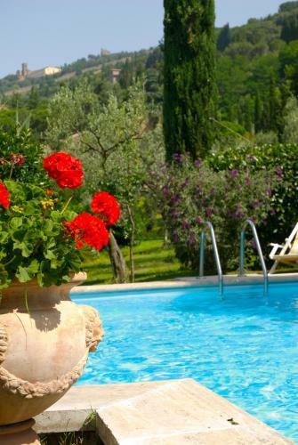 Villa Serena E Villa Serenella