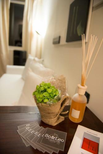 Hostal So&leo Guest House