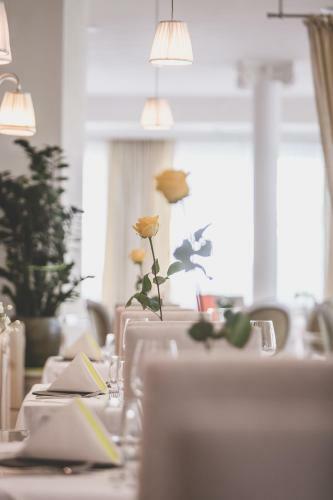 Hotel Famel�
