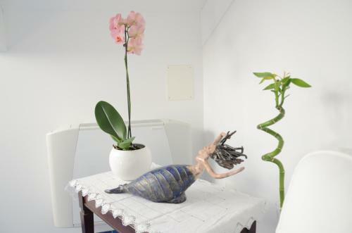 Bed & Breakfast La Soffitta Sul Mare
