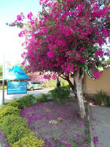 Hotel Pinebreeze Holiday Resort
