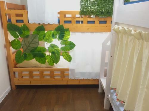 Hostel Nedoko