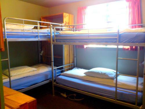 Kiwi House Hostel