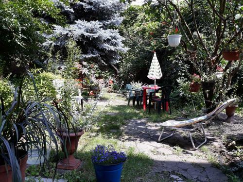 Apartament Krakowski