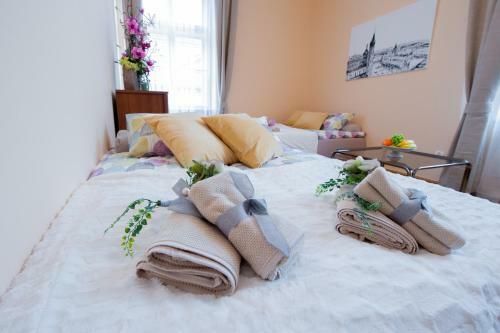 Apartments Roman