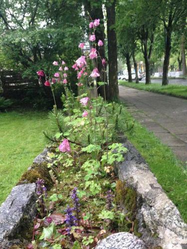 Bed & Breakfast Tuberoza