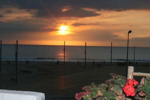 Apartment Vasco Da Gama