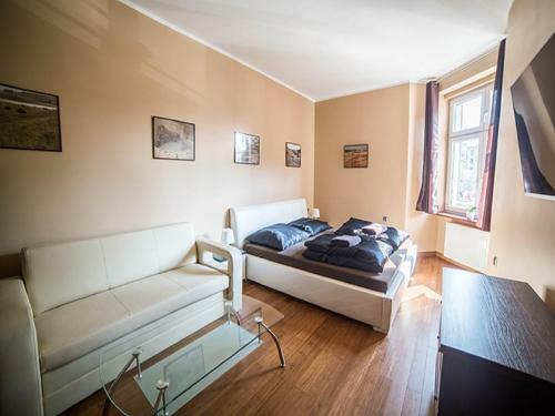 Sg Downtown Apartment