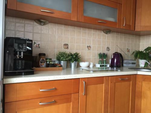 Apartamenty Balbina