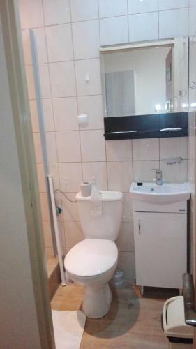 Hotel Le?na Przysta?