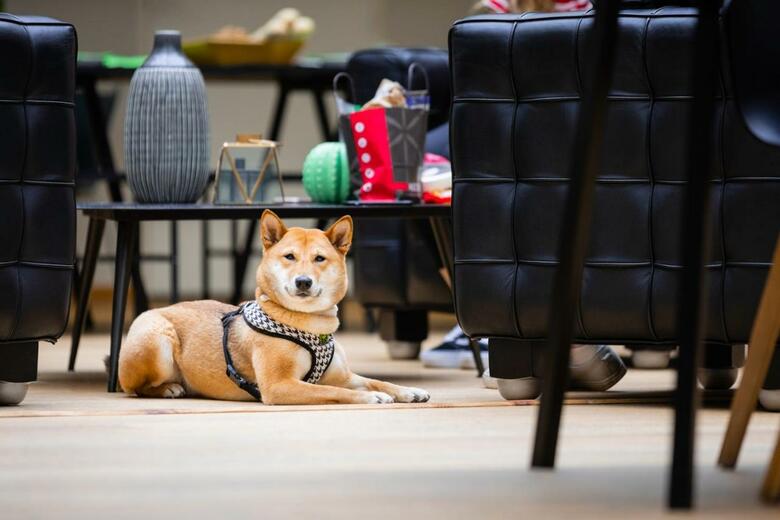 Hotel Ibis Styles Calais Centre