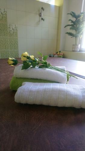 Hostal Penzion Voly?ka