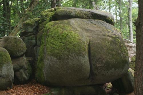 U Kolob??ky Apartment