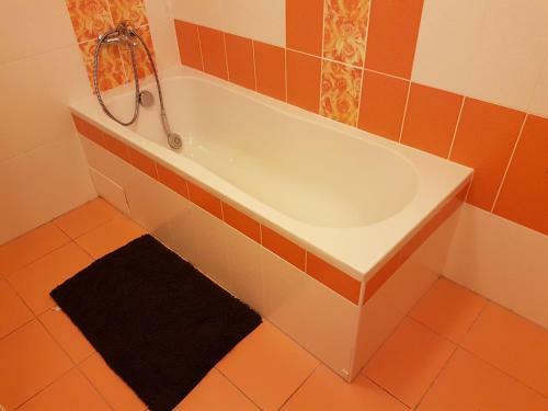 Apartm�n 4 Canada Lipno