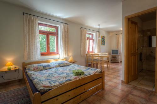 Hostal Penzion U Dra?ice