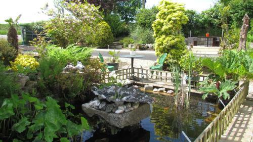Bed & Breakfast Dovers House