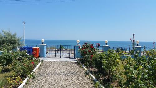 Apartment Calin