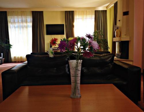 Hostal Pensiunea Daria Poiana Brasov